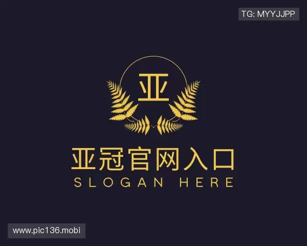 了解亚冠官网入口